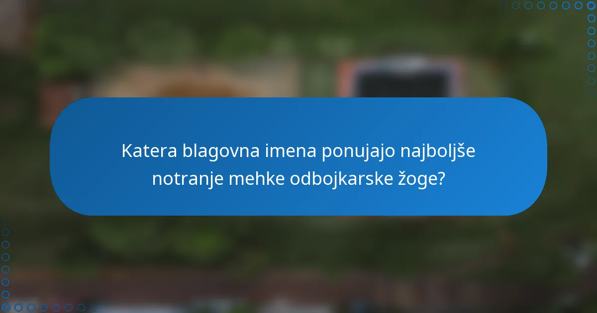 Katera blagovna imena ponujajo najboljše notranje mehke odbojkarske žoge?