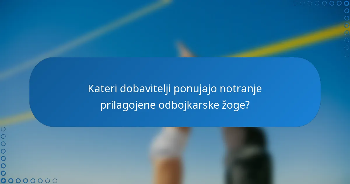 Kateri dobavitelji ponujajo notranje prilagojene odbojkarske žoge?